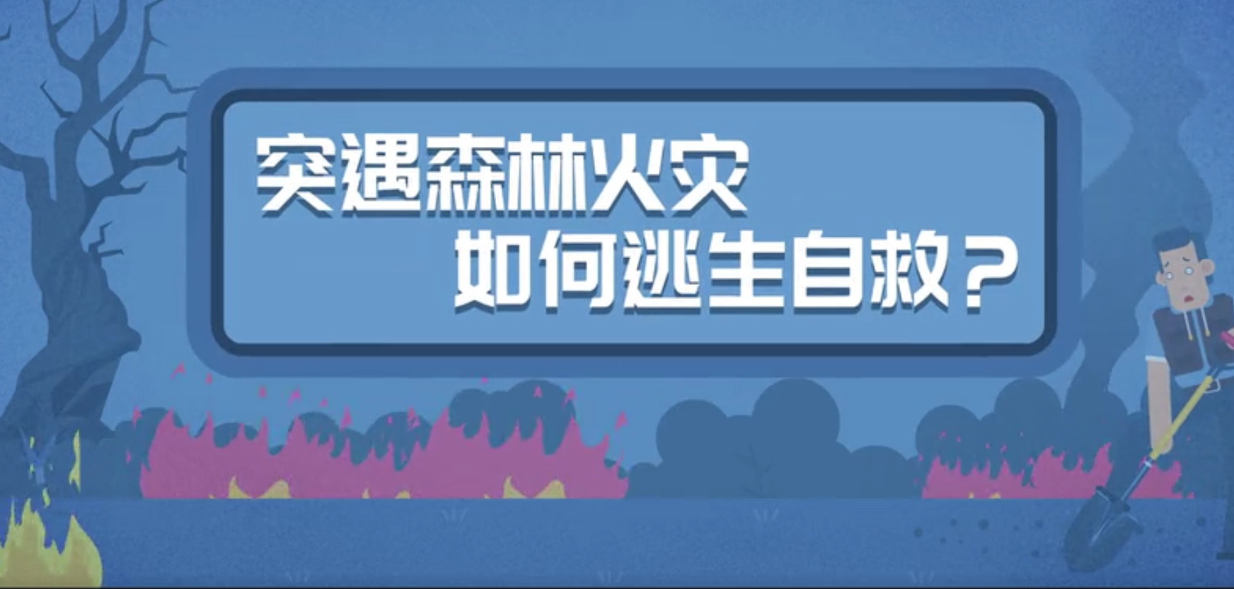 突遇森林火灾，如何逃生自救？